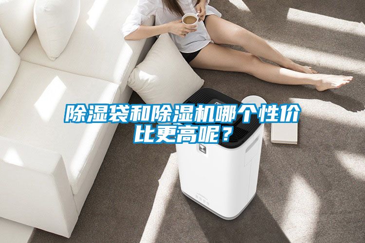 除濕袋和除濕機哪個性價比更高呢？