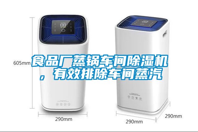 食品廠蒸鍋車間除濕機(jī),有效排除車間蒸汽