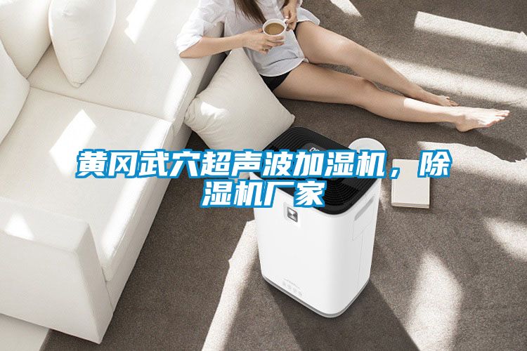 黃岡武穴超聲波加濕機，除濕機廠家