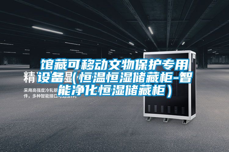 館藏可移動文物保護專用設備(恒溫恒濕儲藏柜-智能凈化恒濕儲藏柜)