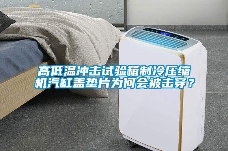 高低溫沖擊試驗箱制冷壓縮機汽缸蓋墊片為何會被擊穿?