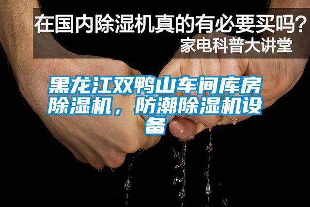 黑龍江雙鴨山車間庫房除濕機,防潮除濕機設備