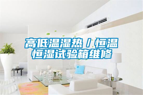高低溫濕熱/恒溫恒濕試驗箱維修