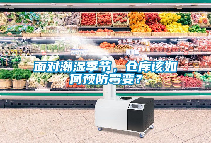 面對潮濕季節,倉庫該如何預防霉變?