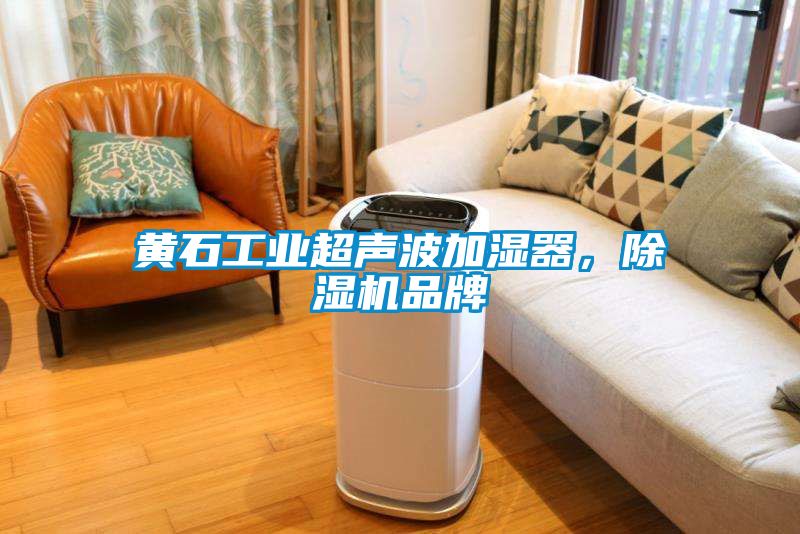 黃石工業超聲波加濕器,除濕機品牌