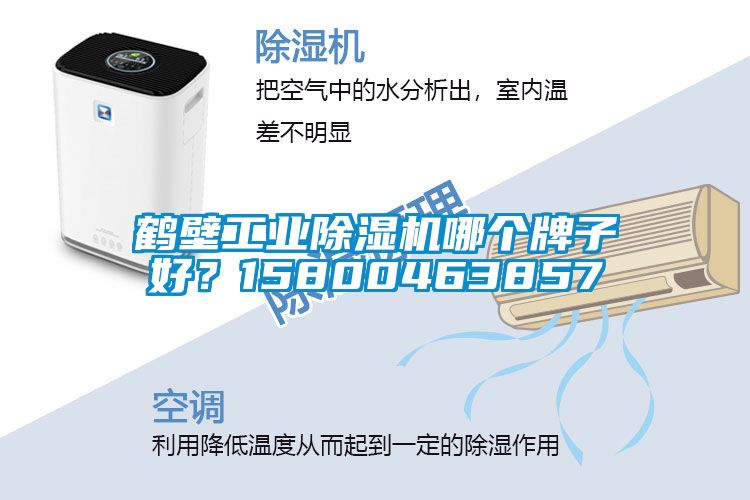 鶴壁工業除濕機哪個牌子好?15800463857