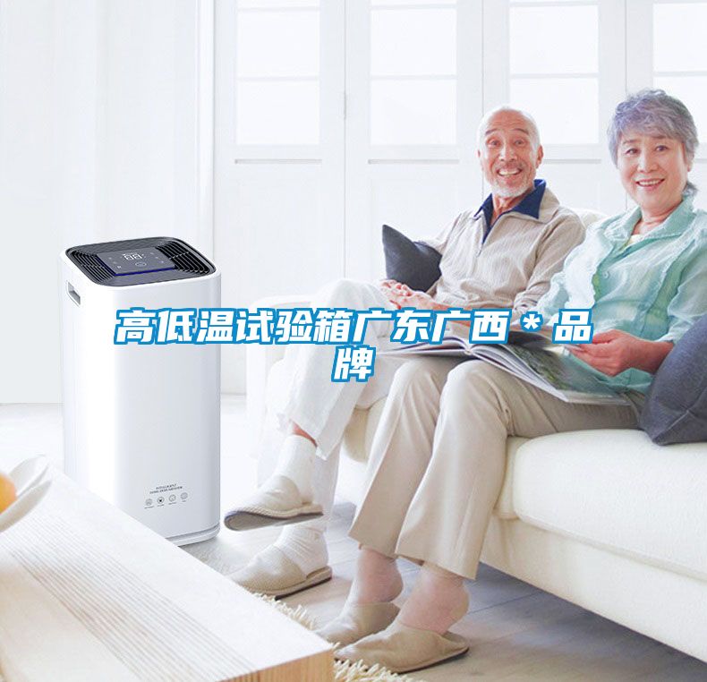 高低溫試驗箱廣東廣西*品牌