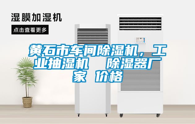 黃石市車間除濕機,工業抽濕機  除濕器廠家 價格