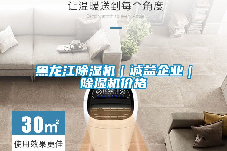黑龍江除濕機|誠益企業|除濕機價格