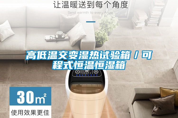 高低溫交變濕熱試驗(yàn)箱/可程式恒溫恒濕箱