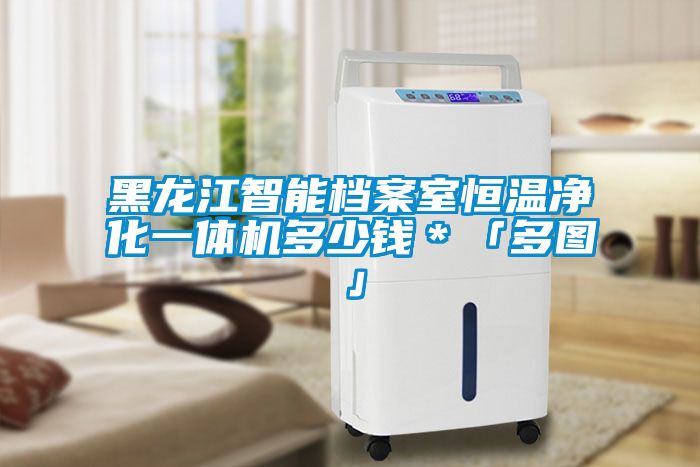 黑龍江智能檔案室恒溫凈化一體機多少錢*「多圖」
