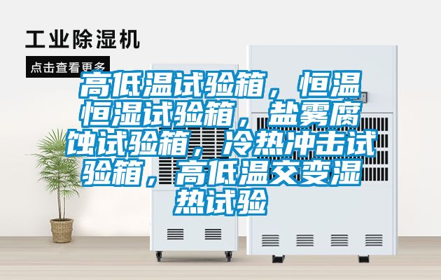高低溫試驗箱,恒溫恒濕試驗箱,鹽霧腐蝕試驗箱,冷熱沖擊試驗箱,高低溫交變濕熱試驗