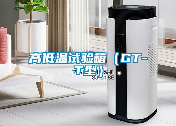 高低溫試驗箱(GT-T型)