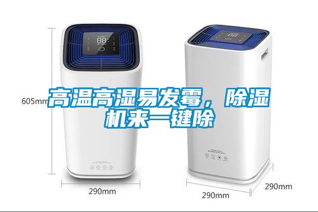 高溫高濕易發霉,除濕機來一鍵除