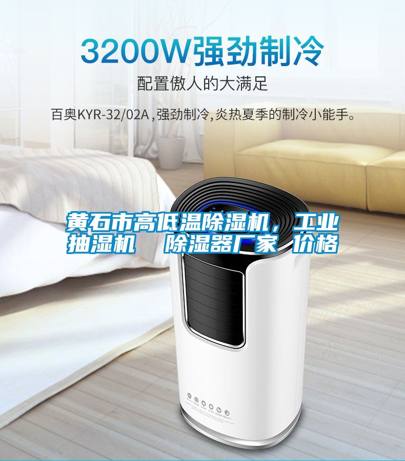 黃石市高低溫除濕機,工業抽濕機  除濕器廠家 價格