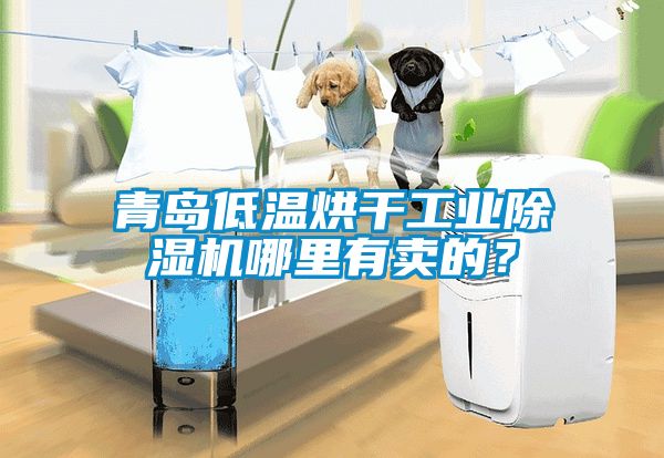 青島低溫烘干工業除濕機哪里有賣的？