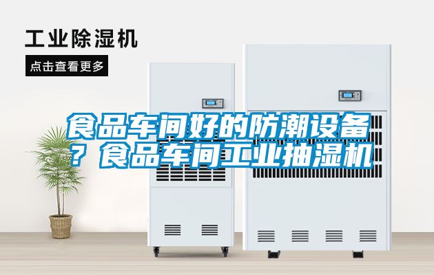 食品車間好的防潮設(shè)備?食品車間工業(yè)抽濕機(jī)