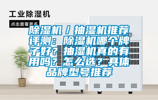 除濕機/抽濕機推薦評測:除濕機哪個牌子好?抽濕機真的有用嗎?怎么選?具體品牌型號推薦