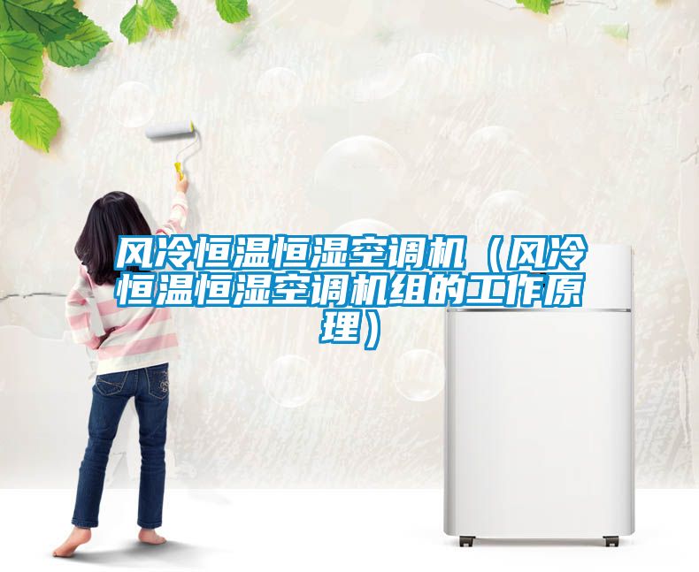 風冷恒溫恒濕空調機(風冷恒溫恒濕空調機組的工作原理)