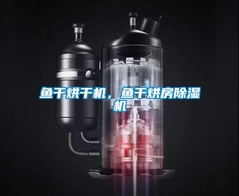 魚干烘干機,魚干烘房除濕機
