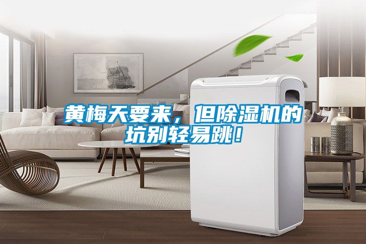 黃梅天要來,但除濕機的坑別輕易跳!