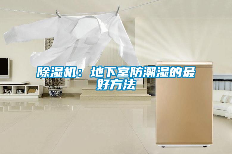 除濕機:地下室防潮濕的最好方法