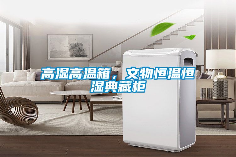 高濕高溫箱,文物恒溫恒濕典藏柜