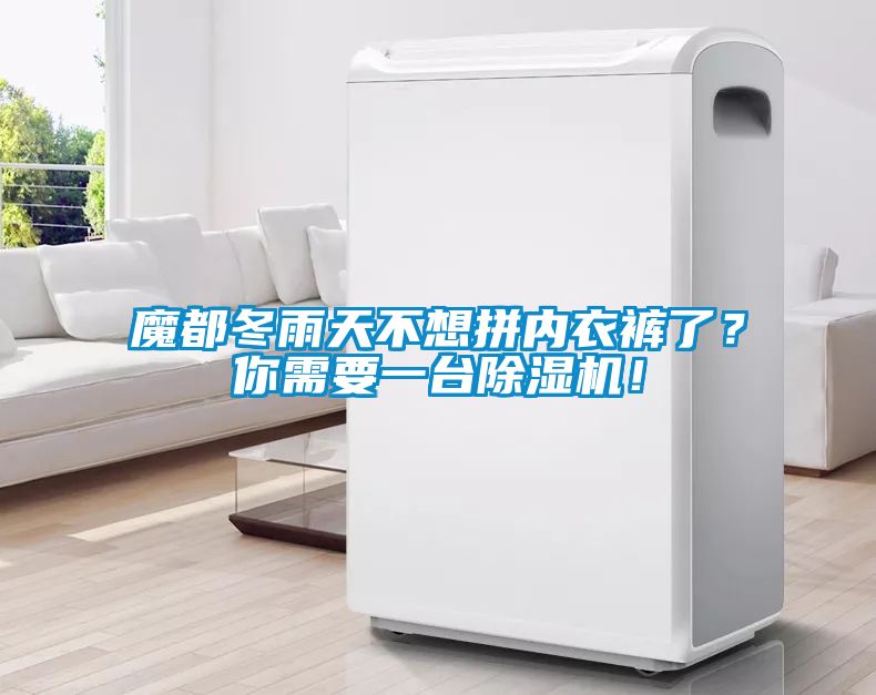魔都冬雨天不想拼內衣褲了?你需要一臺除濕機!