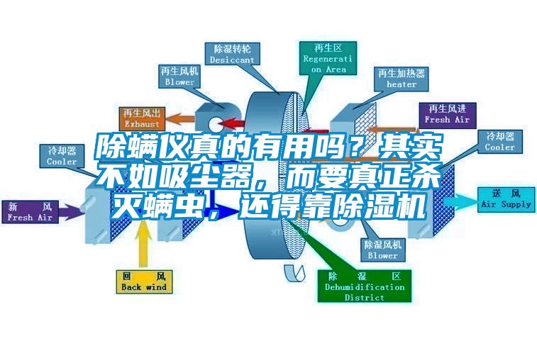 除螨儀真的有用嗎?其實不如吸塵器,而要真正殺滅螨蟲,還得靠除濕機