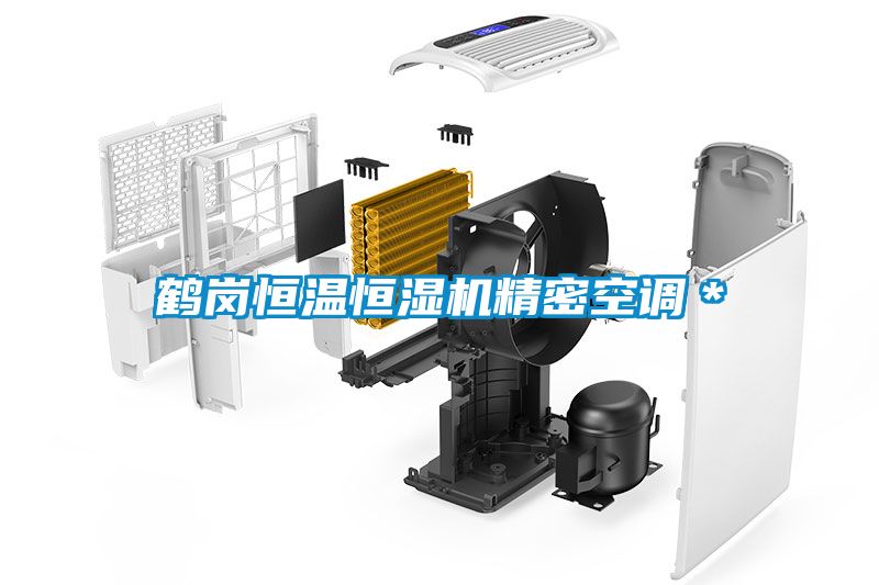 鶴崗恒溫恒濕機精密空調*