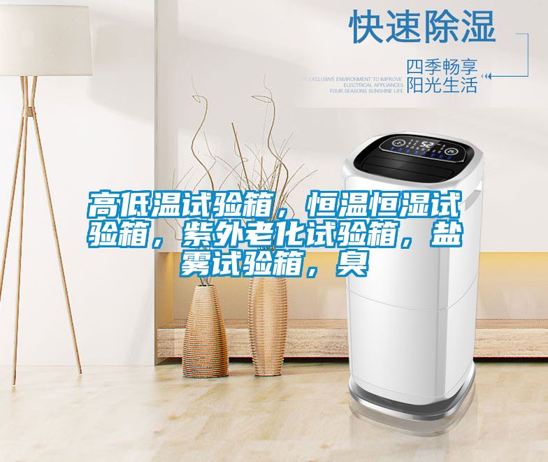高低溫試驗箱,恒溫恒濕試驗箱,紫外老化試驗箱,鹽霧試驗箱,臭