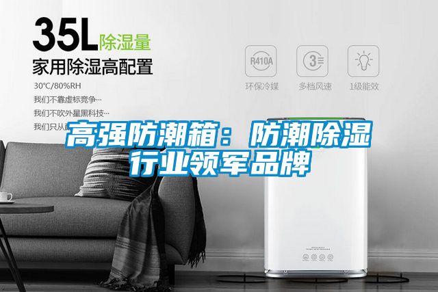 高強防潮箱:防潮除濕行業領軍品牌