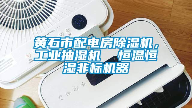 黃石市配電房除濕機,工業抽濕機  恒溫恒濕非標機器